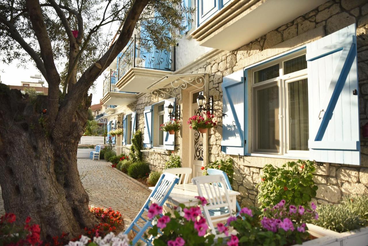 Zeytin Arasi