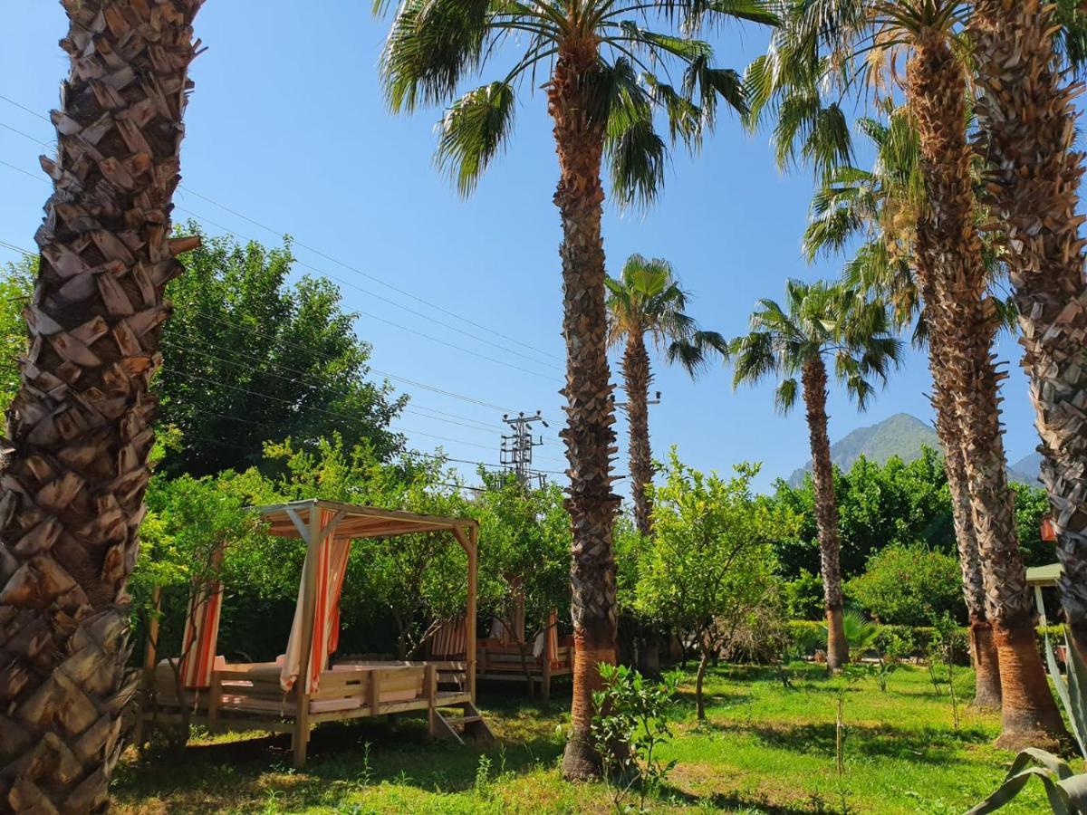 Homestay Oblomov Cirali