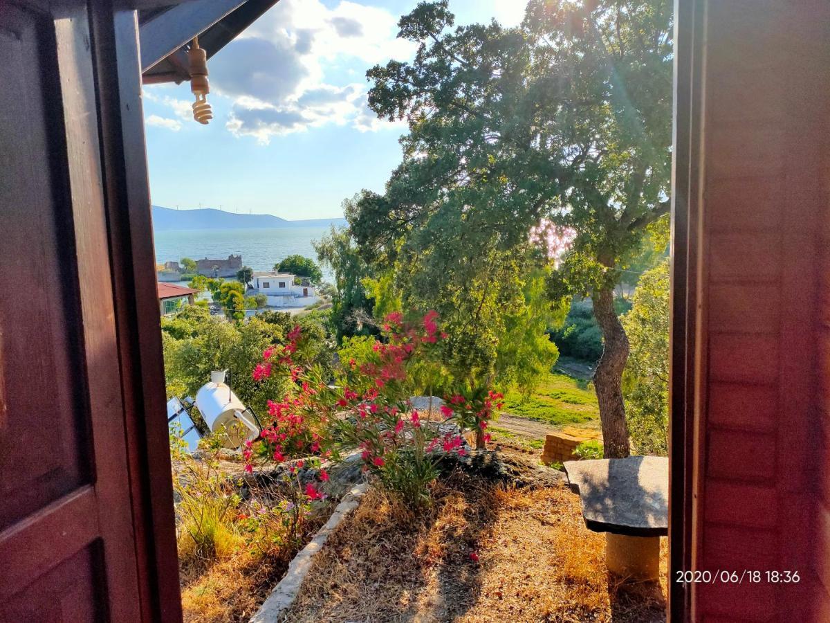 Selenes Guest house 3*
