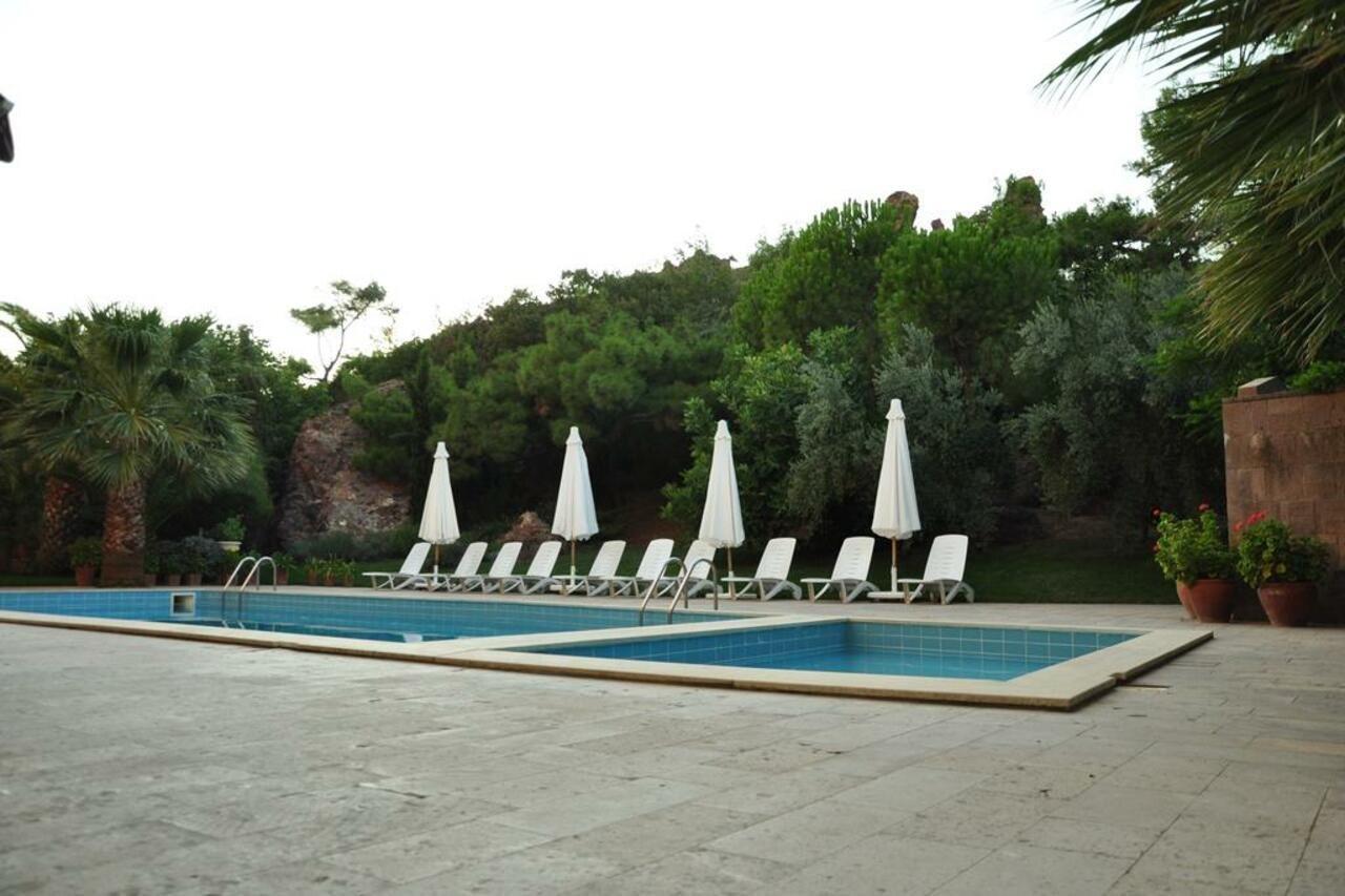 Bed & Breakfast Palm Court