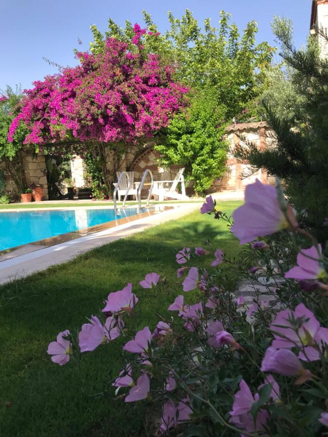 Hotel Zeytin