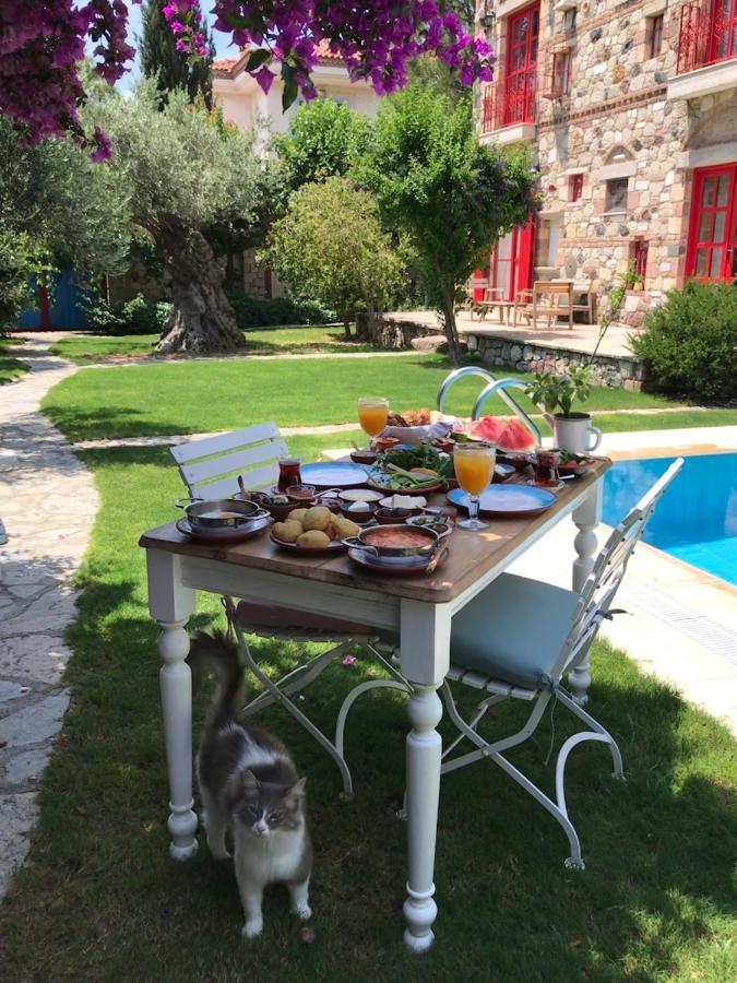Zeytin 3* Alacati
