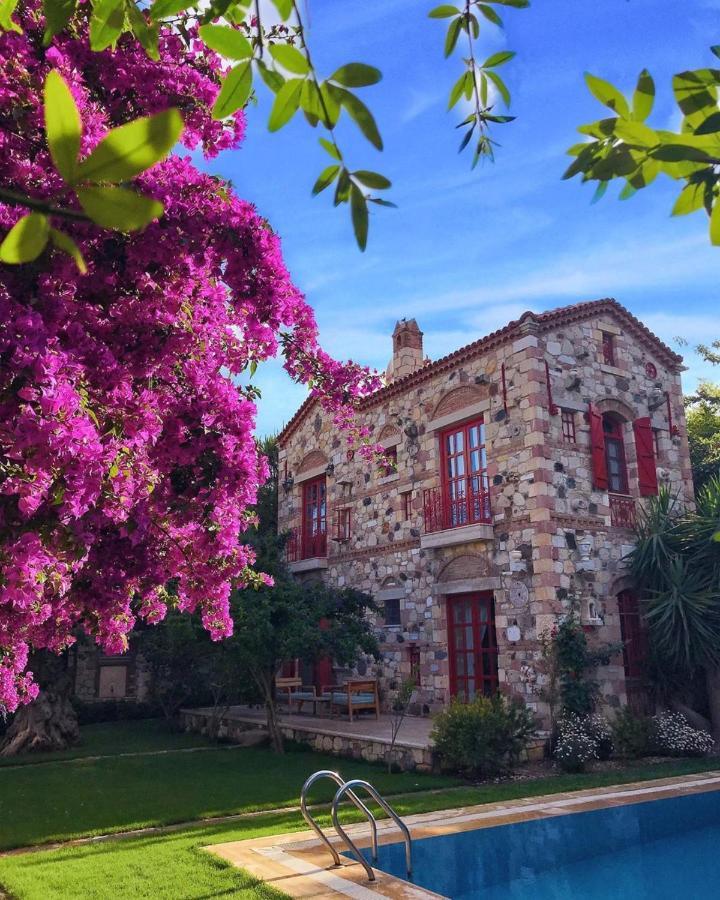 Hotel Zeytin 3*