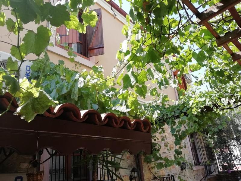 Kispet Marti Boutique Guest house *