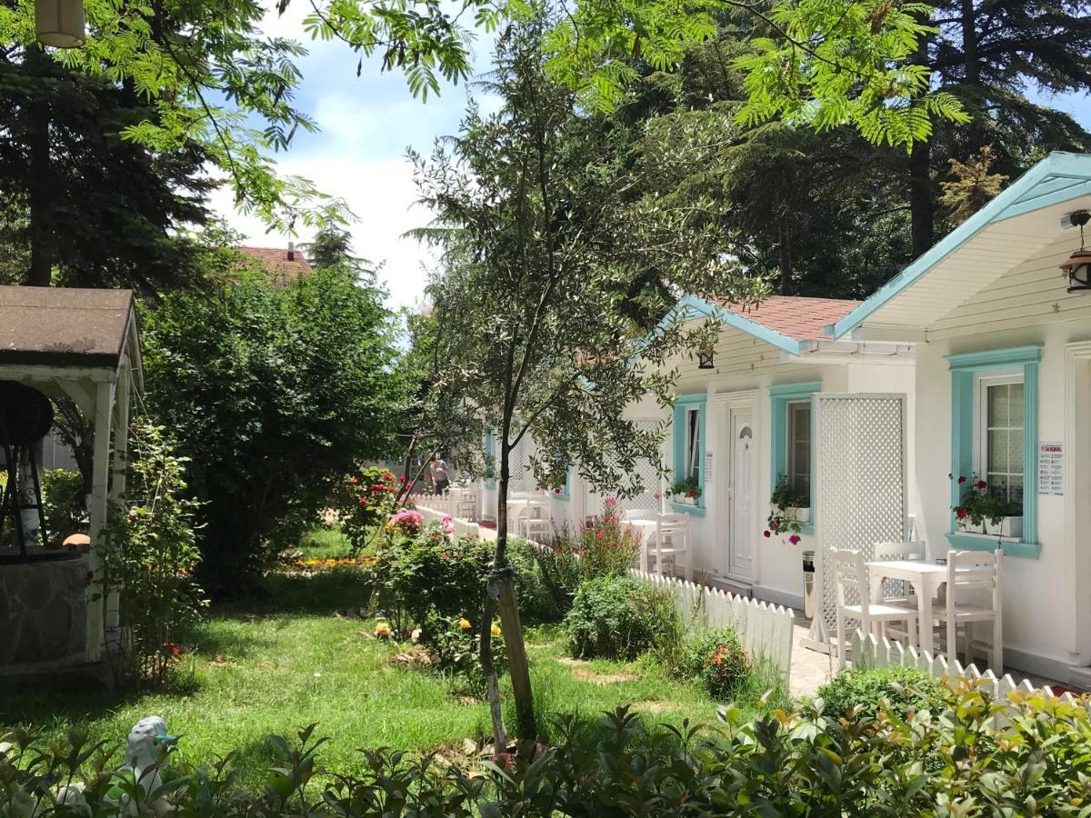 Poyraz 3* Uzungol