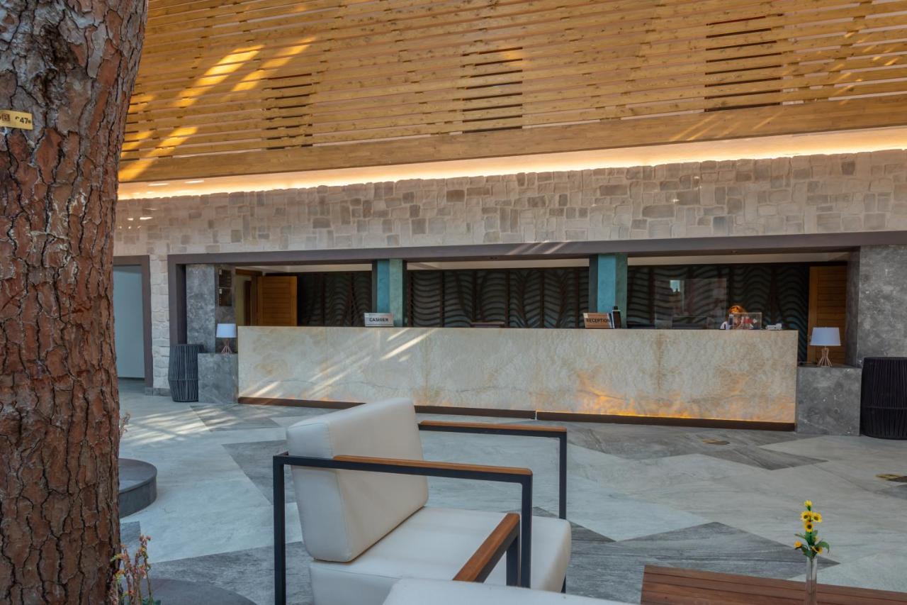 Hotel Baia Salima Kemer 5*