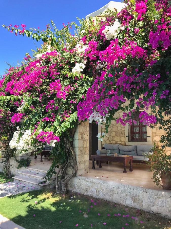 Zeytin Hotel