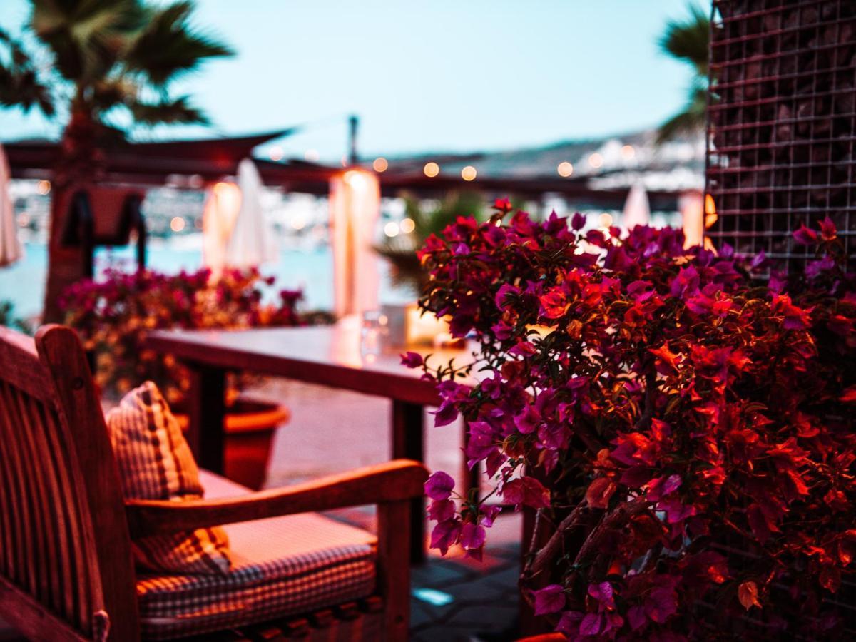 Costa Farilya Special Class Bodrum Hotel Gundogan (Bodrum)