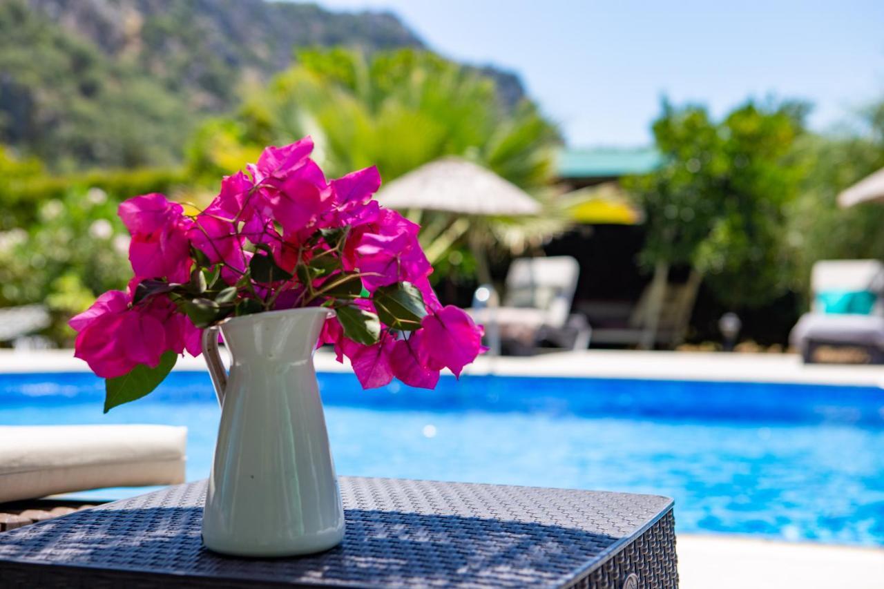 Lodge Portalimo - Adult Only +12 Cirali