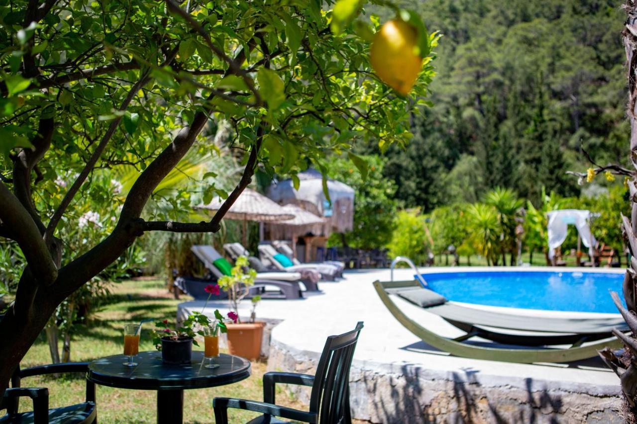 Portalimo - Adult Only +12 Lodge *