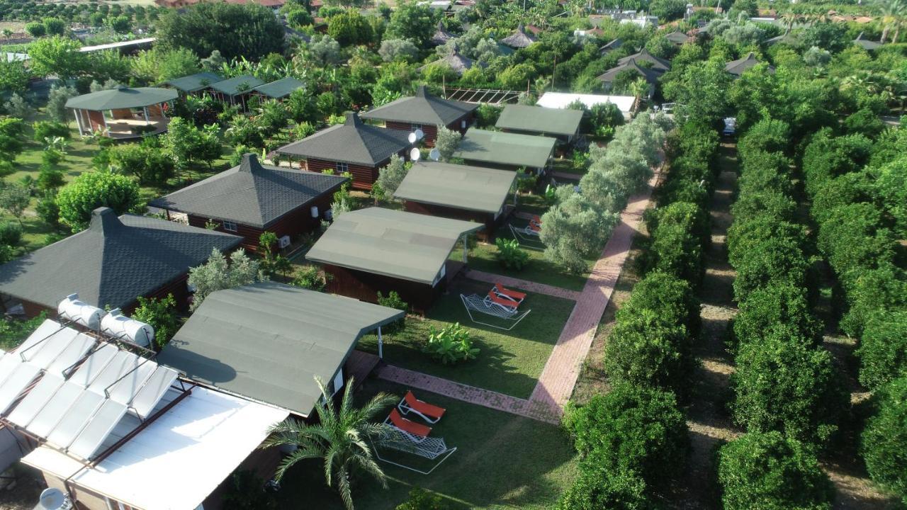 Zakkum Homestay Cirali