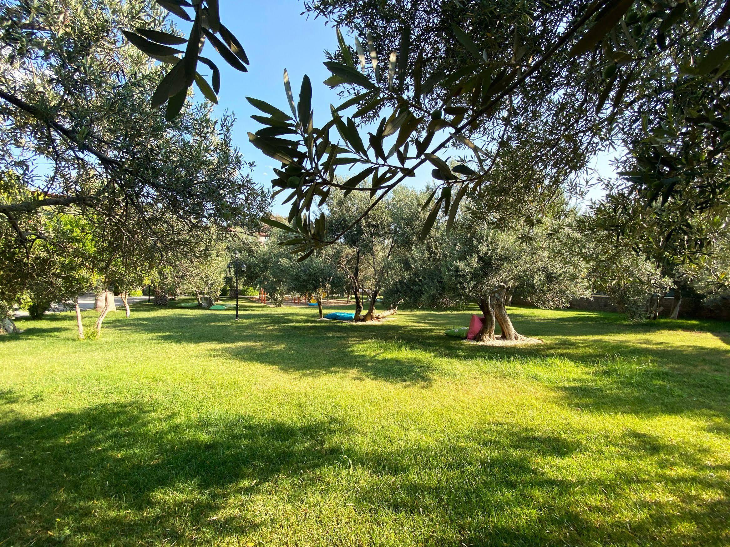Park Hotel 2*