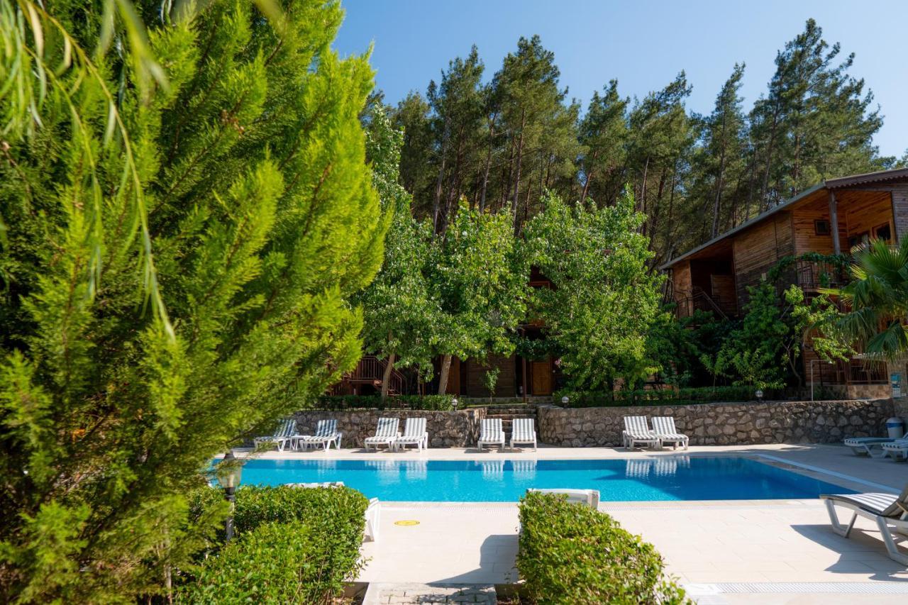 Olimpia Guest house *