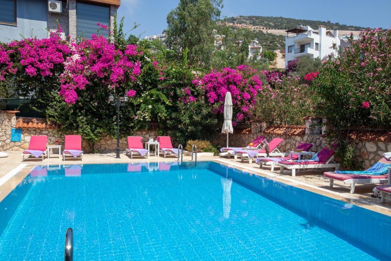Aparthotel Papermoon &