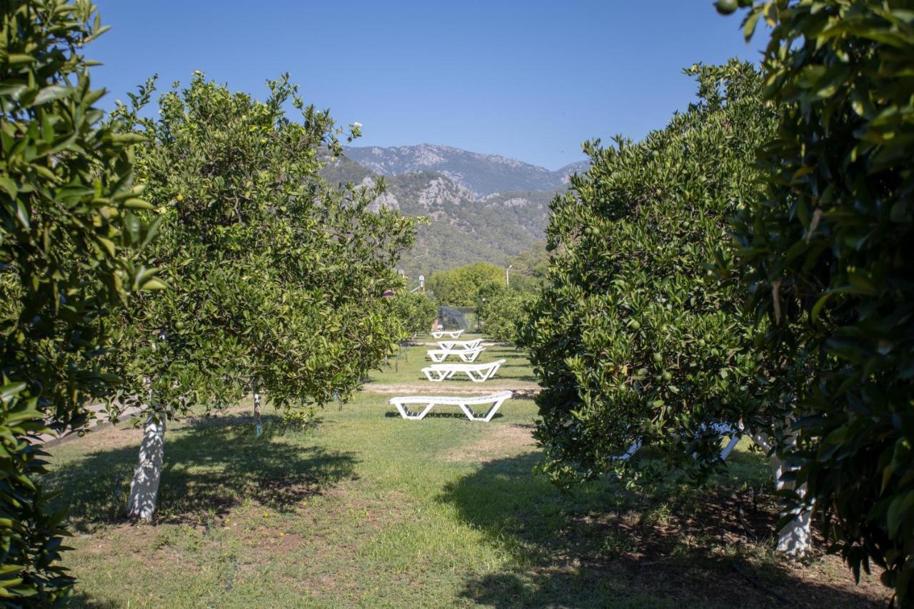 Ugur Guest house Cirali