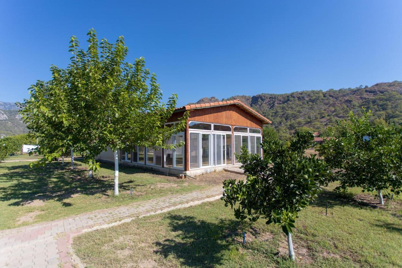 Guest house Ugur