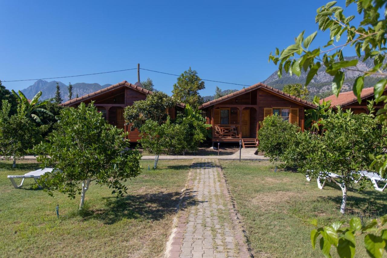 Ugur Guest house