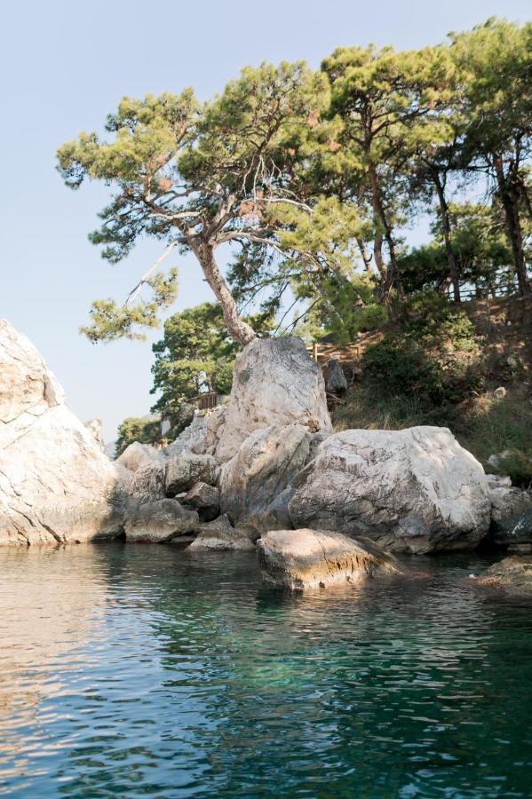 Yuva Eco Holiday Yoga Retreat