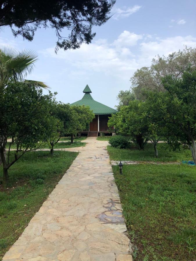 Holiday park Armira Cirali