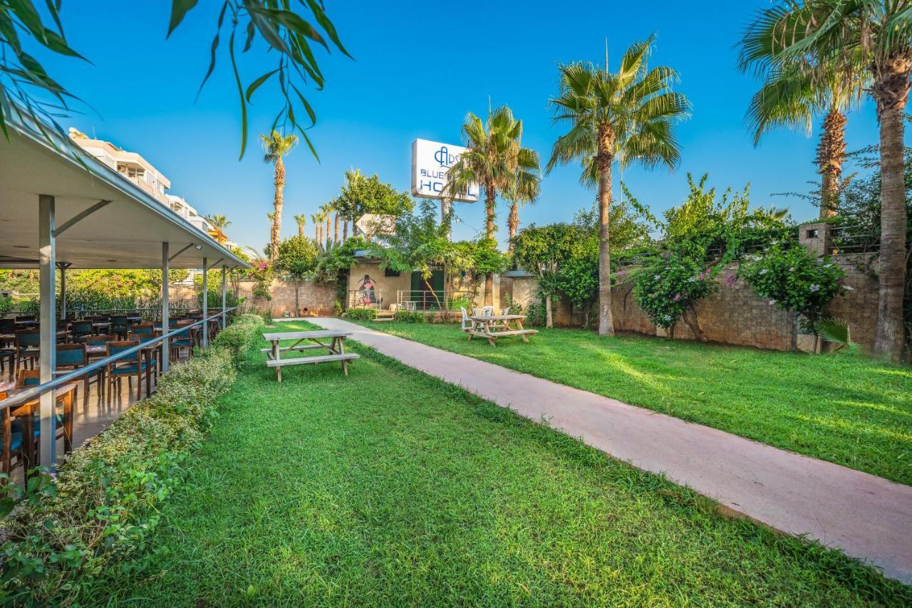 Hotel Arsi Blue Alanya