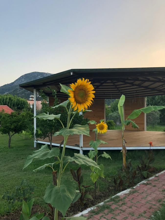 Armira Holiday park