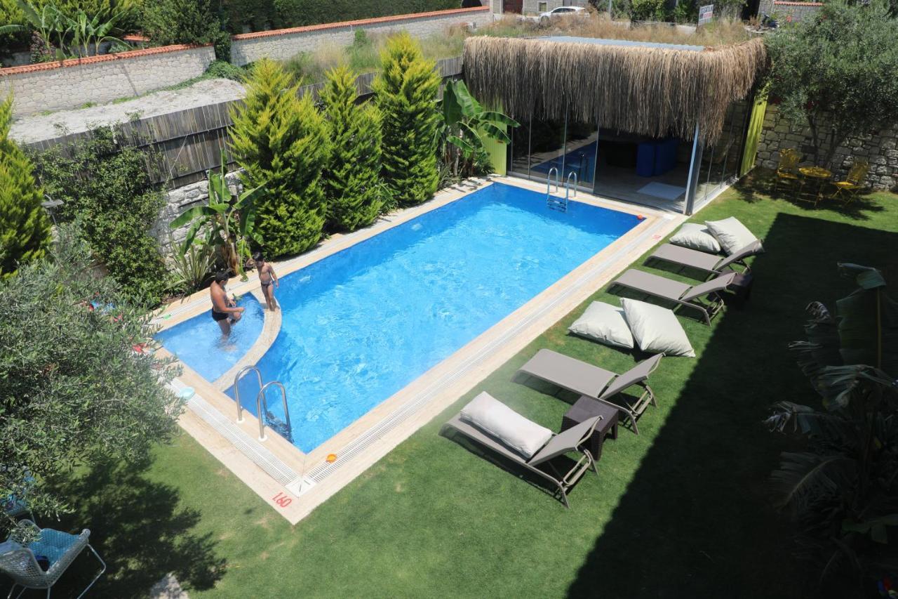 Hotel Viola (adults Only) 2*