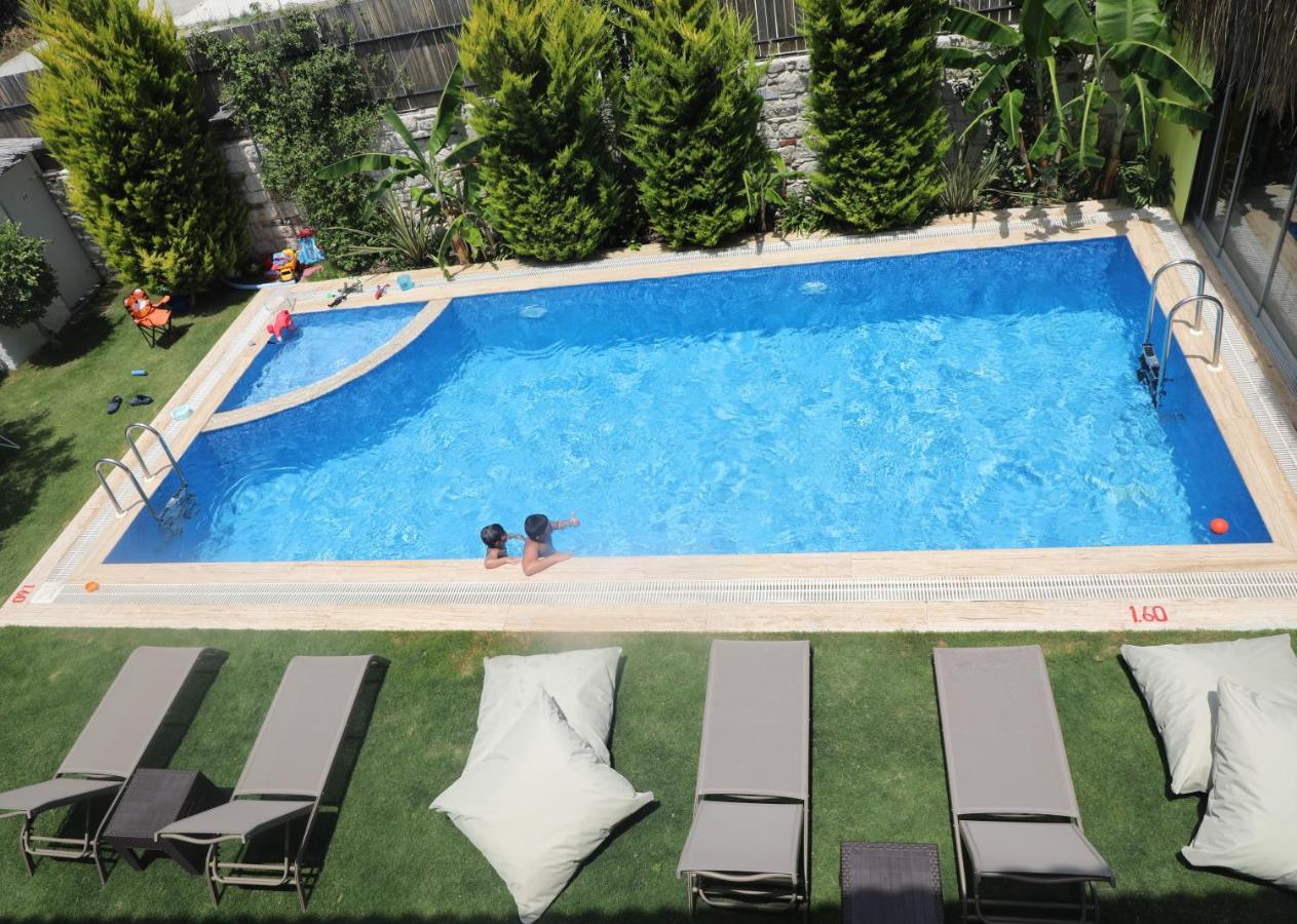 Viola (adults Only) Hotel 2*