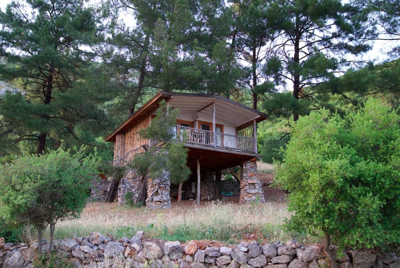 Resort Yenice Vadi - Natural Life Village Yenice (Mugla)