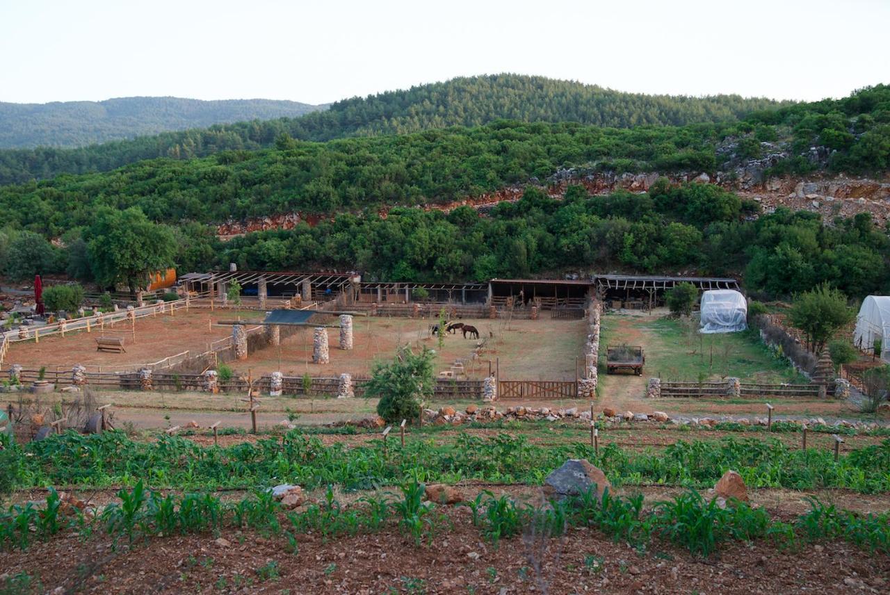 Resort Yenice Vadi - Natural Life Village Yenice (Mugla)