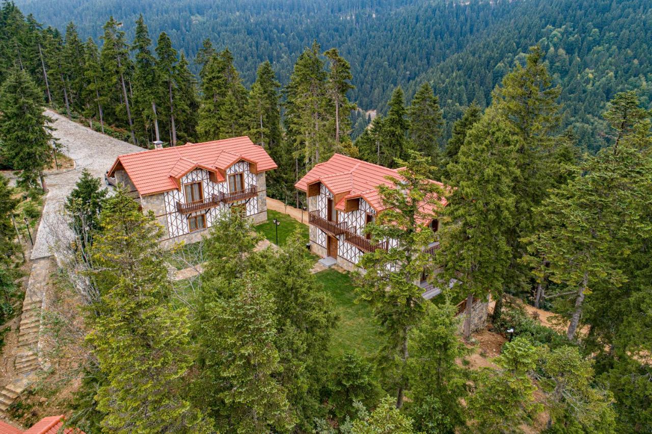 Foleya Mountain & Hotel Trabzon