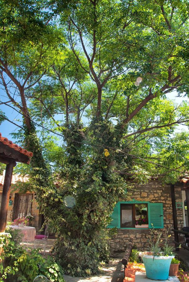 The Castle Hotel Gokceada