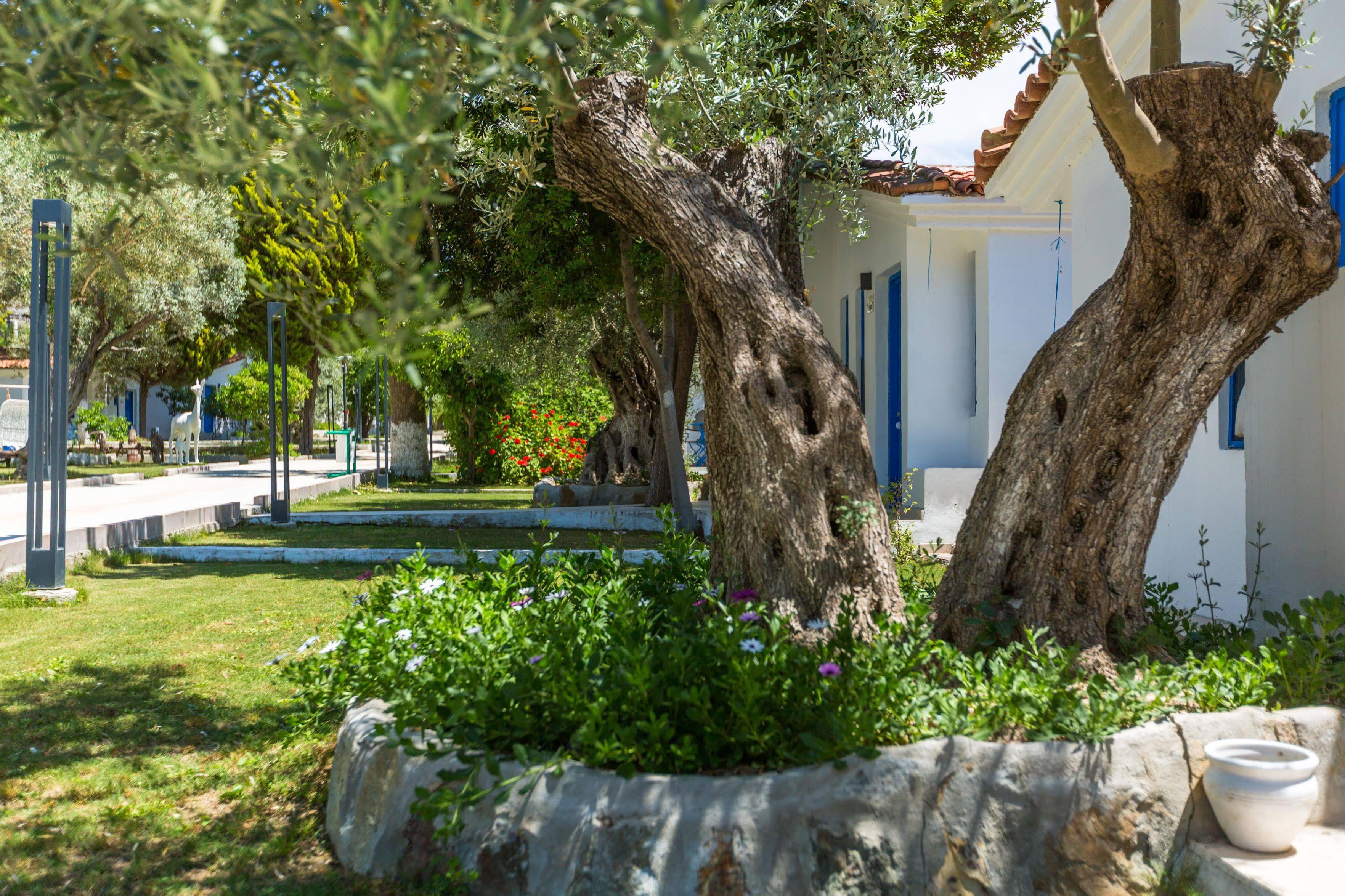 Hotel Risus Garden Marina 3*