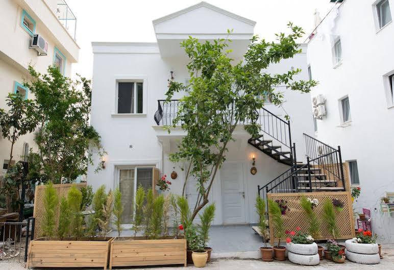 8 Homestay *