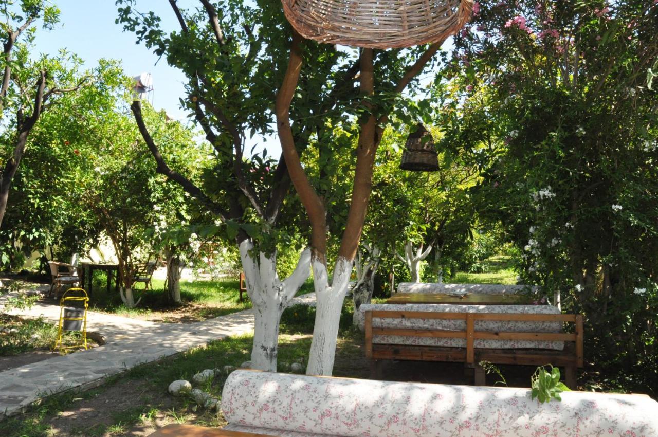 San Simon