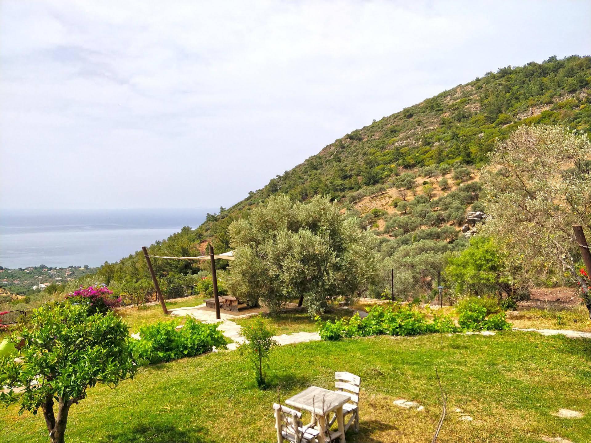 Hotel Zephyros Mesudiye (Datca)