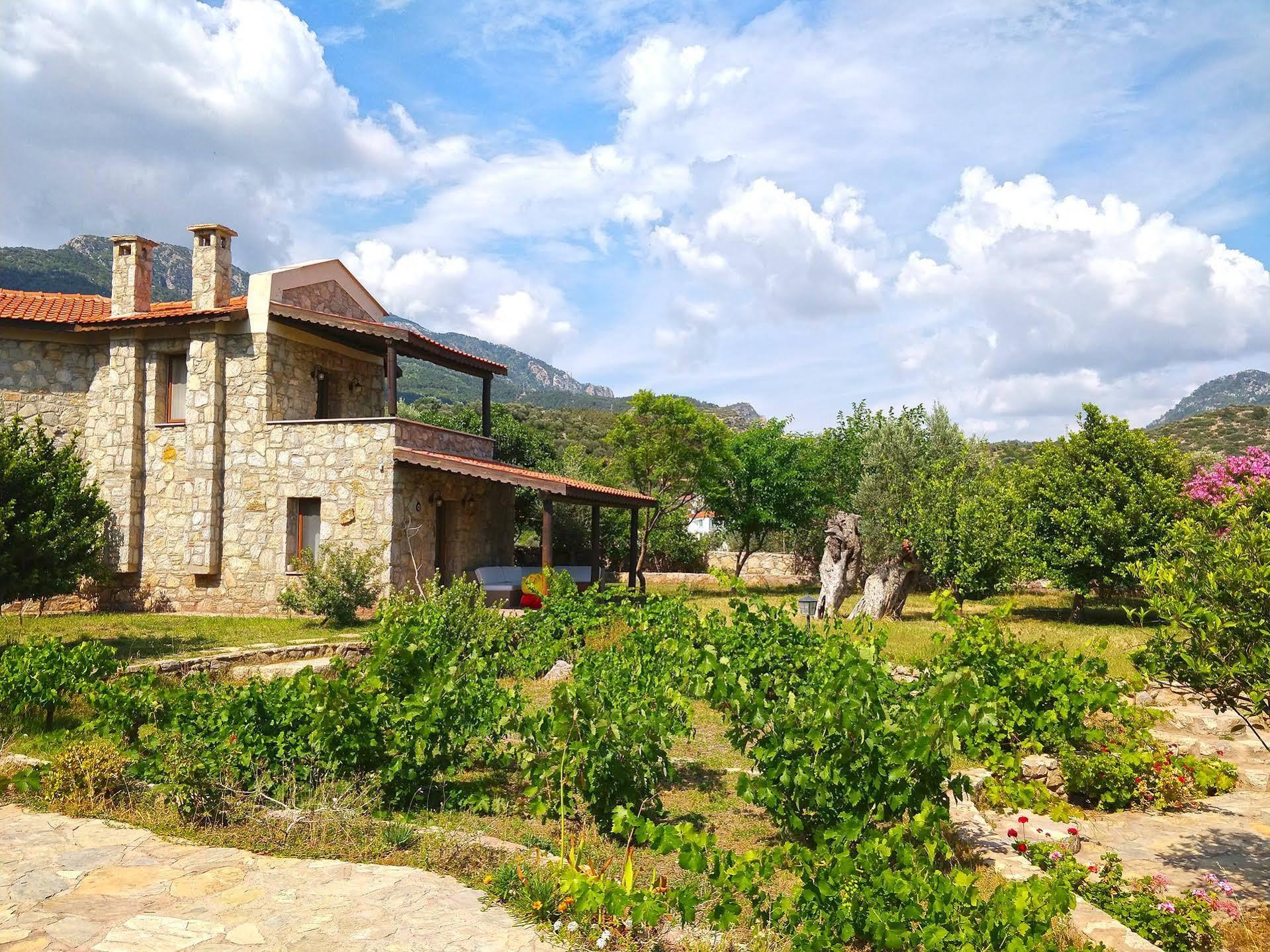 Zephyros Mesudiye (Datca)
