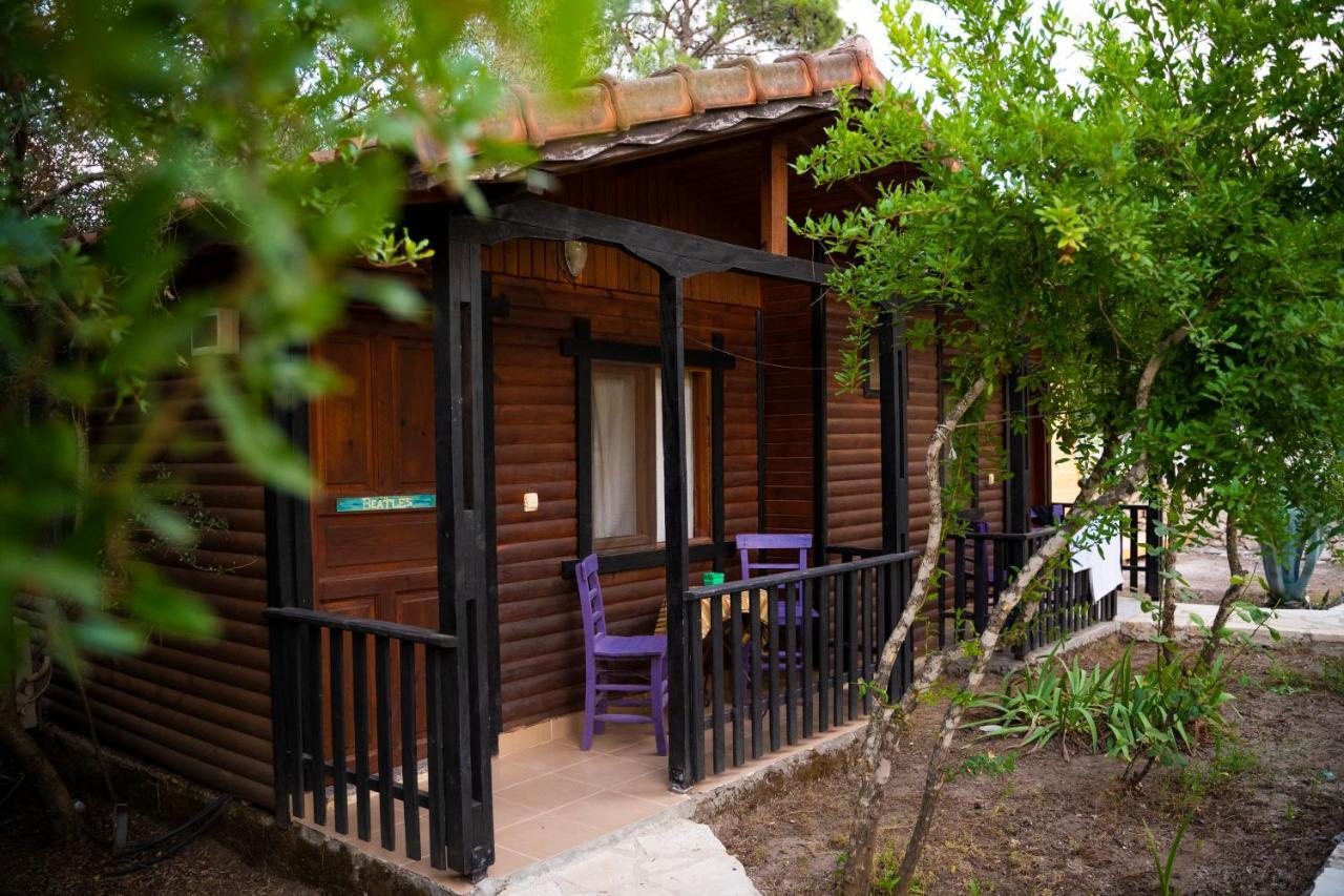 Koala Guest house