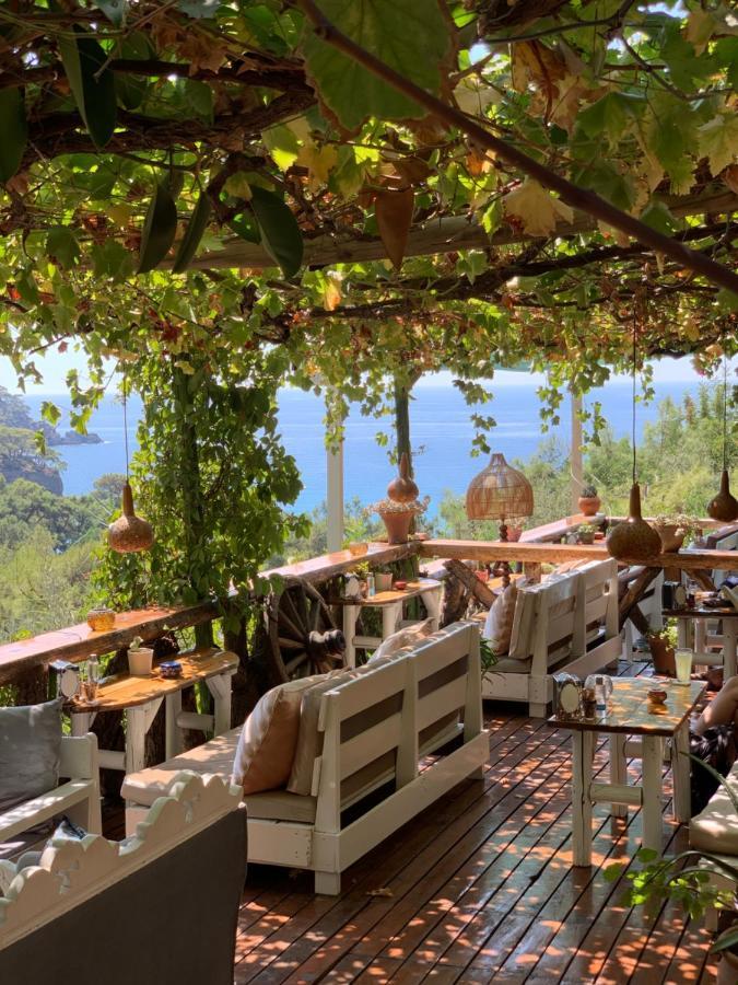 Holiday park Turan Hill Lounge Faralya