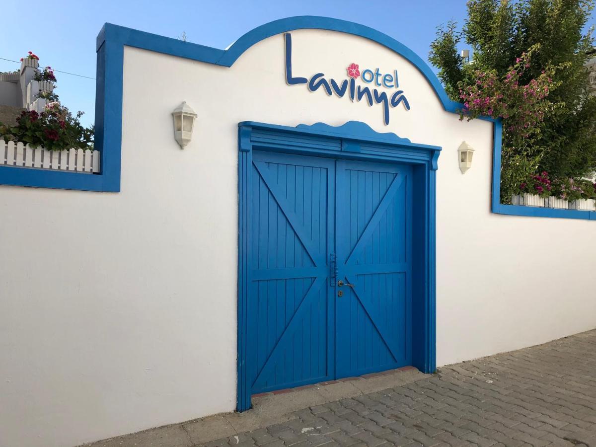 Lavinya