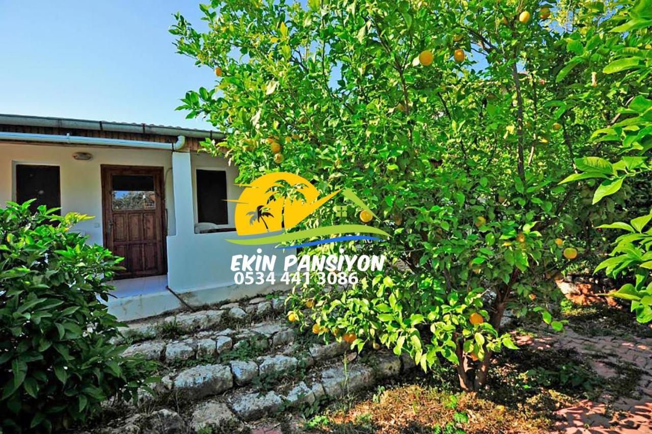 Ekin Kekova Homestay