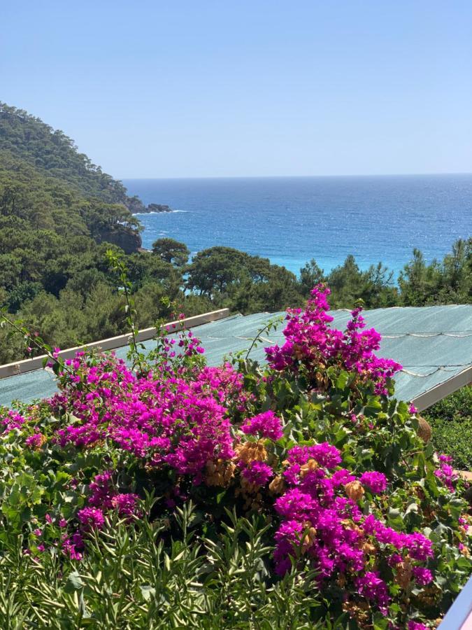Turan Hill Lounge 4*