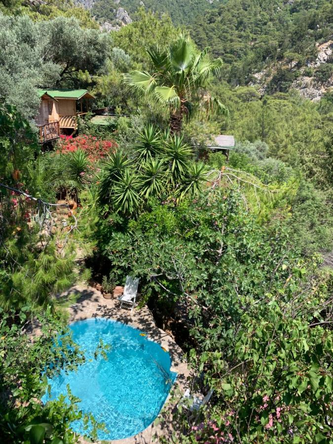 Holiday park Turan Hill Lounge