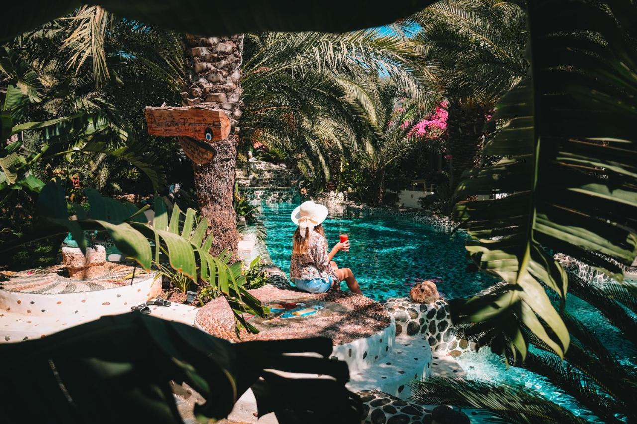 Flamingo & - Pet Friendly Hotel