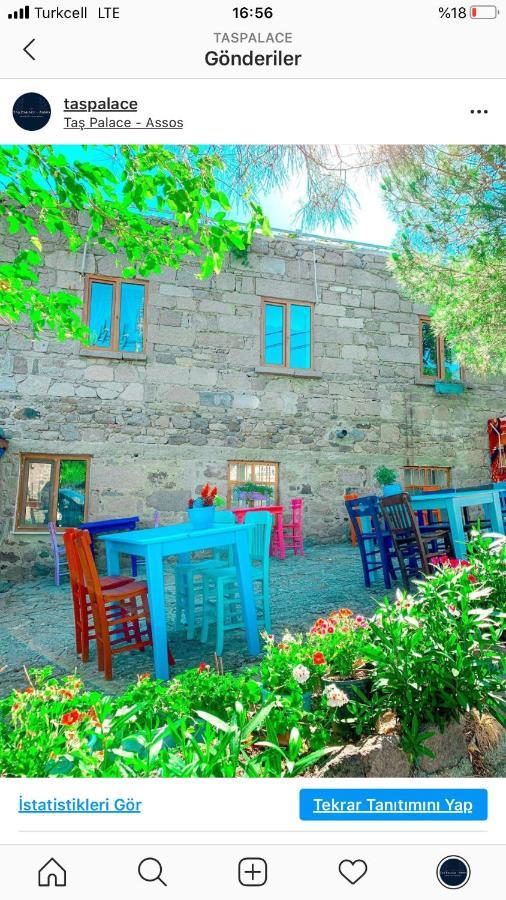 Hotel Tas Palace *