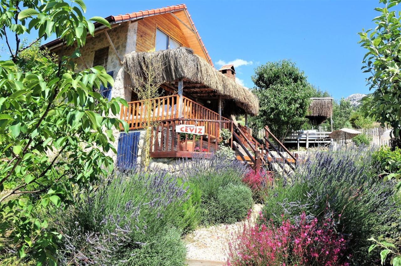 Ambar Evleri