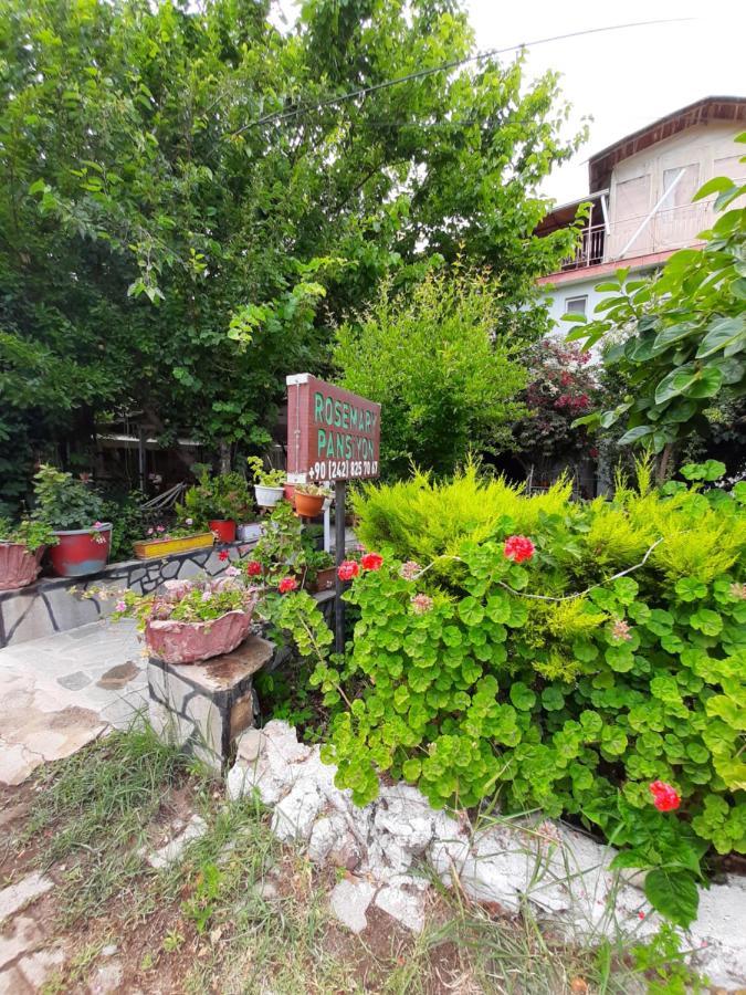 Bed & Breakfast Rosemary Cirali