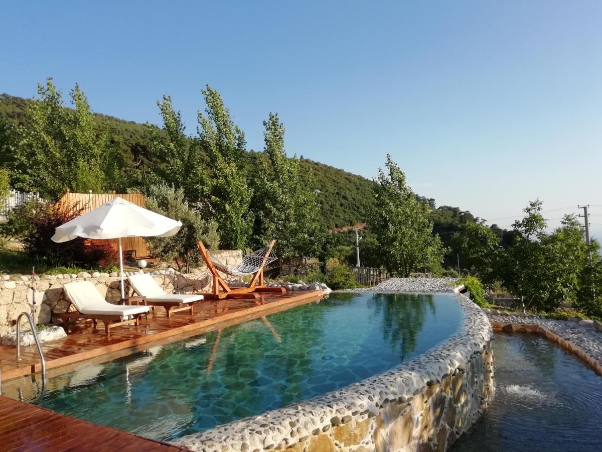 Ambar Evleri Holiday home Kalkan