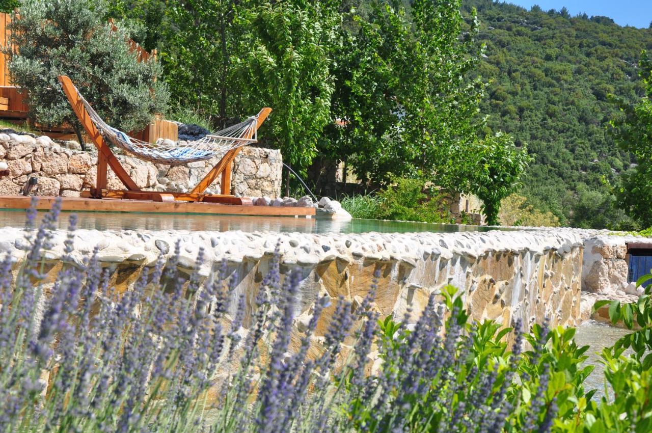 Ambar Evleri Holiday home