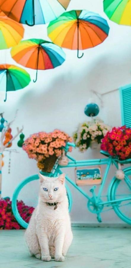 Duru Butik Bodrum