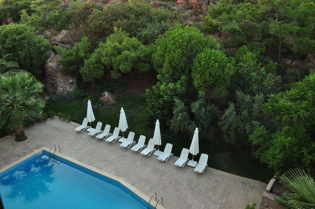Palm Court